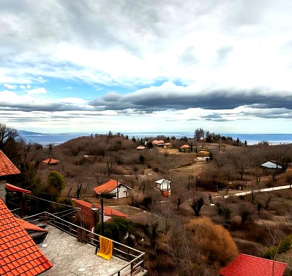 Arxontiko Agonari